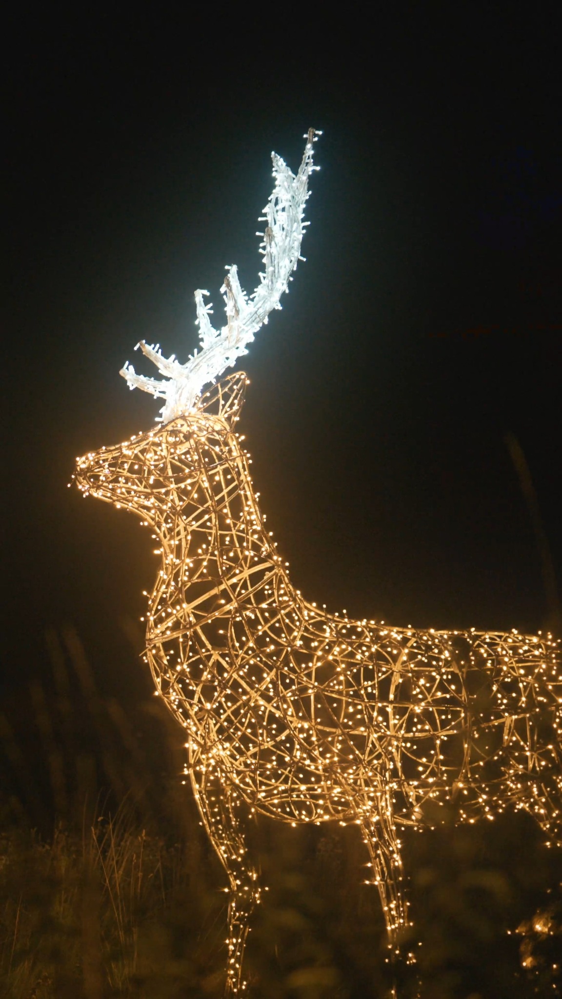 #storyoflights Beitrag