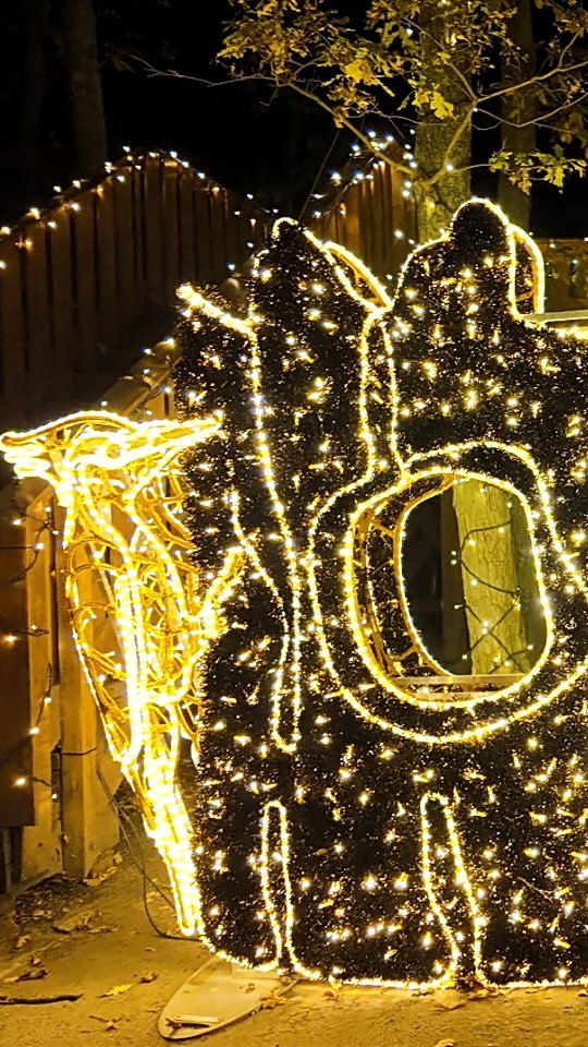 #storyoflights Beitrag