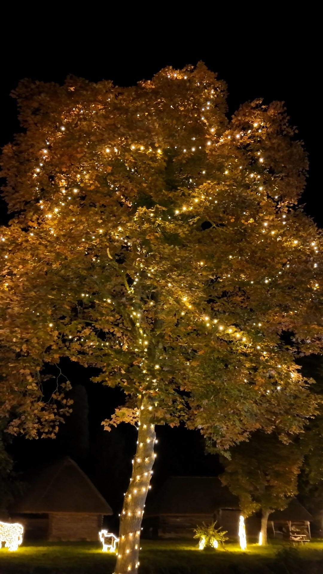 #storyoflights Beitrag